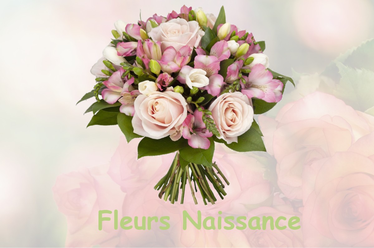 fleurs naissance COUR-ET-BUIS