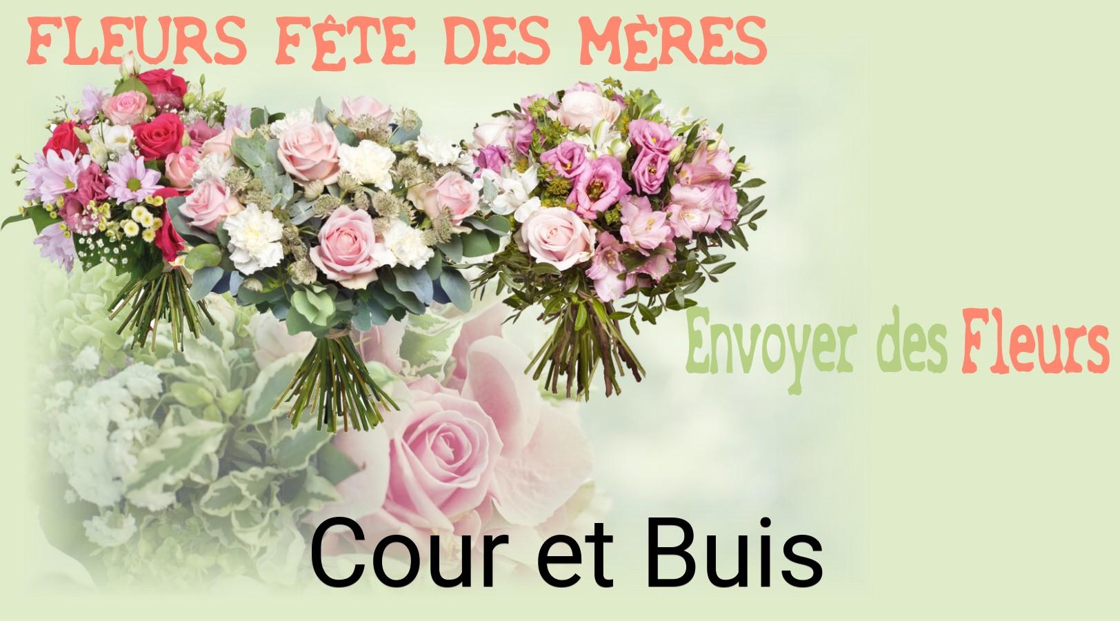 Bouquet de Fête des Mères livré à Cour-et-Buis